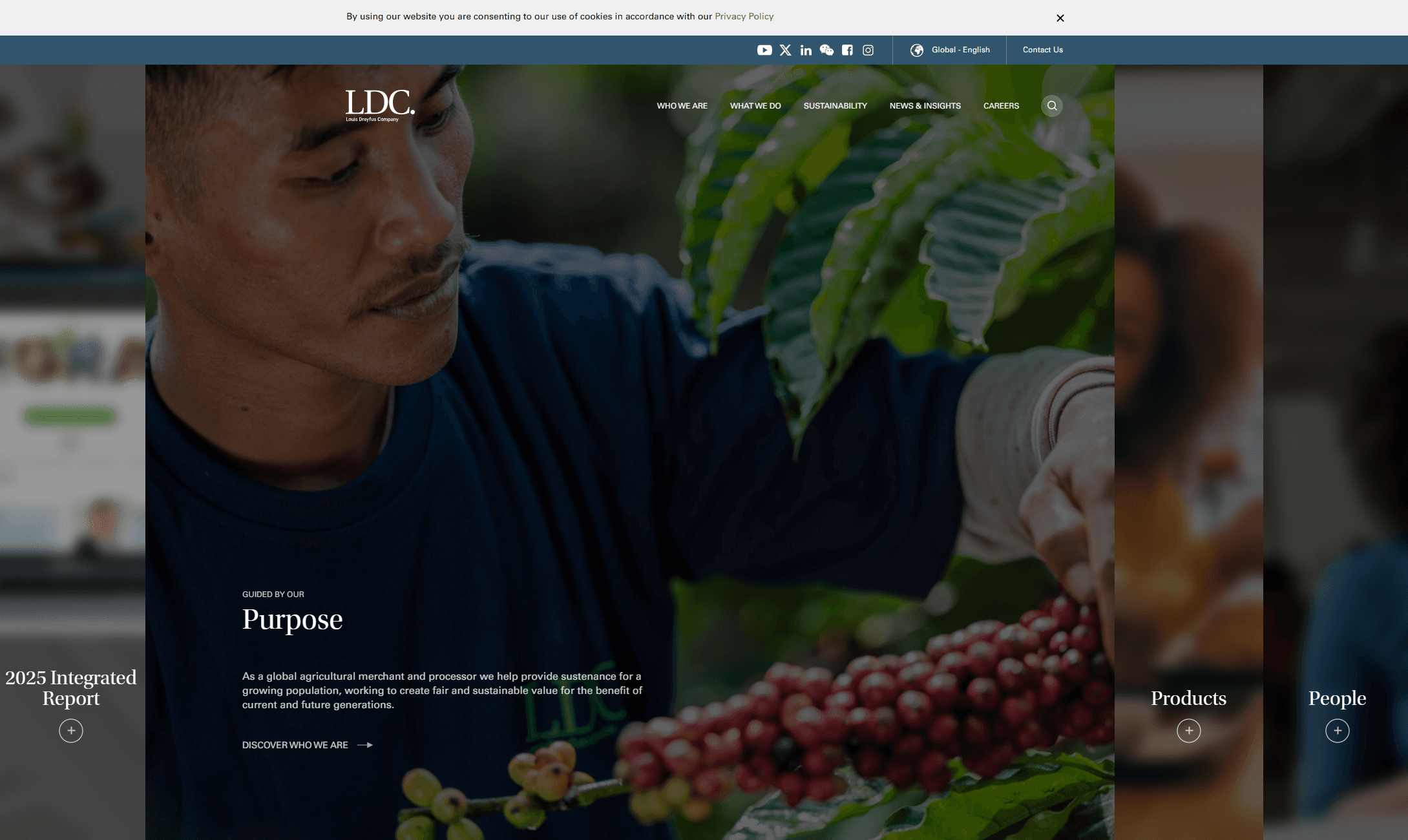 Louis Dreyfus Company