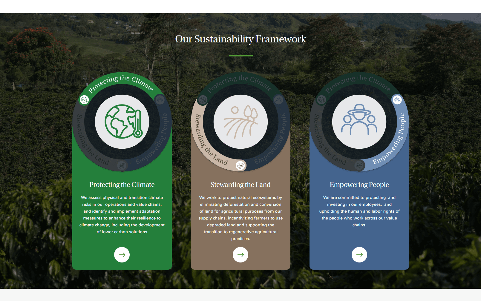 Sustainability Framework