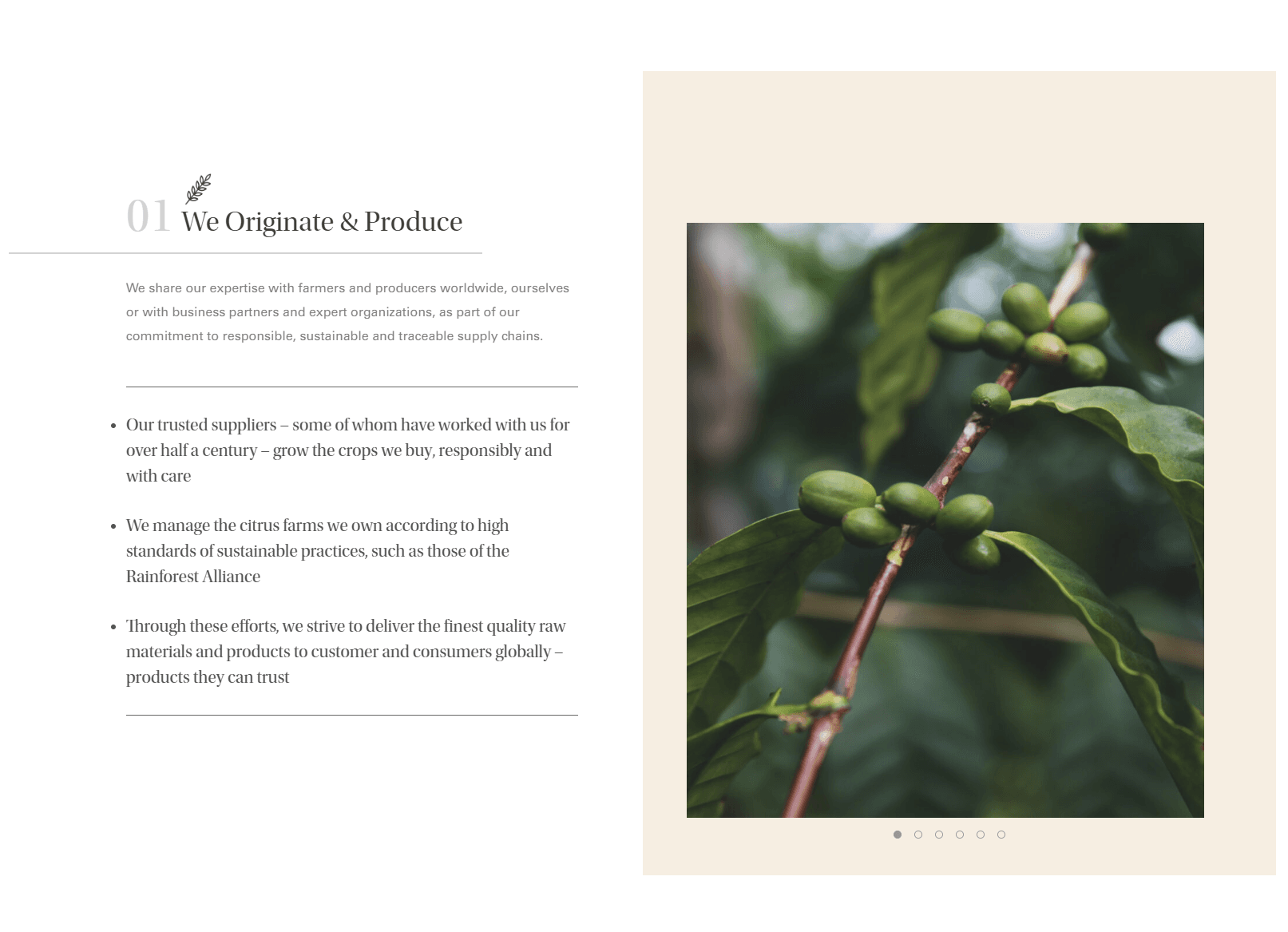 Value chain: We Originate and Produce